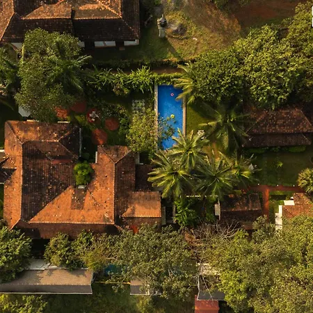Stayvista At Amalia By Tellado With Pool, Wifi-2